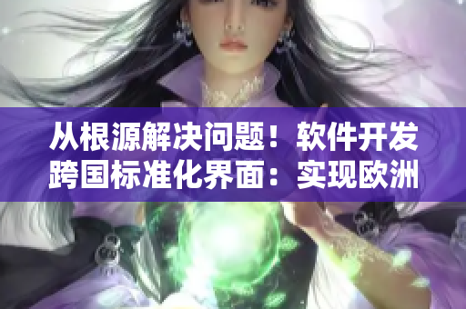 从根源解决问题！软件开发跨国标准化界面：实现欧洲、日本、美国尺码专线！