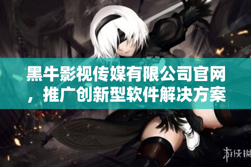 黑牛影视传媒有限公司官网，推广创新型软件解决方案
