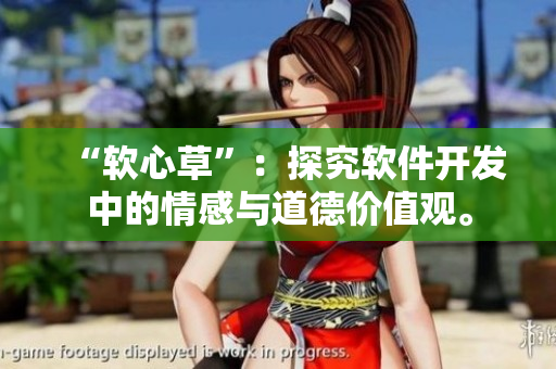 “软心草”：探究软件开发中的情感与道德价值观。