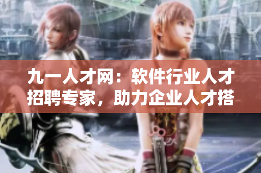 九一人才网：软件行业人才招聘专家，助力企业人才搭建良好的软件未来