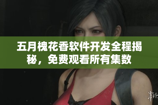 五月槐花香软件开发全程揭秘，免费观看所有集数