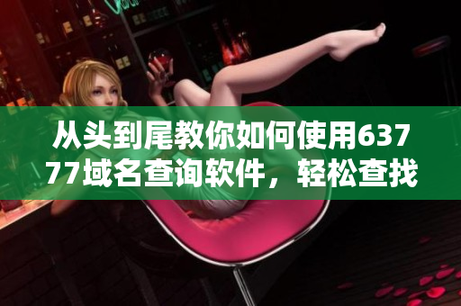 从头到尾教你如何使用63777域名查询软件，轻松查找你需要的信息
