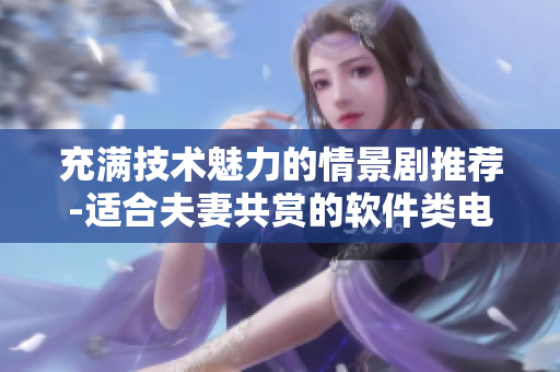 充满技术魅力的情景剧推荐-适合夫妻共赏的软件类电视剧
