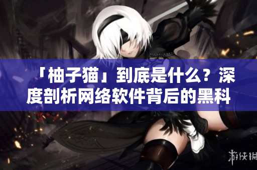 「柚子猫」到底是什么？深度剖析网络软件背后的黑科技！
