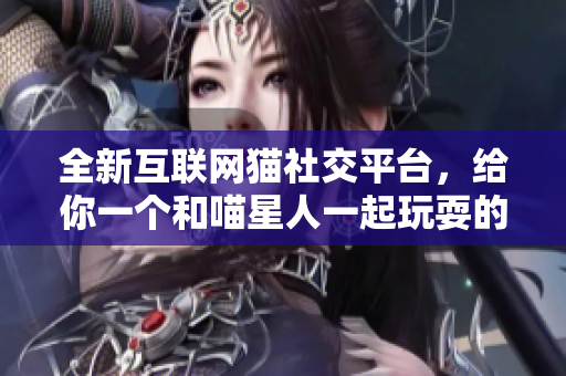 全新互联网猫社交平台，给你一个和喵星人一起玩耍的舞台