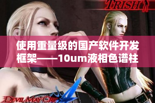 使用重量级的国产软件开发框架——10um液相色谱柱技术