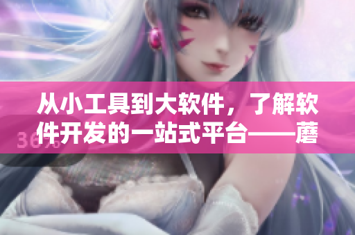 从小工具到大软件，了解软件开发的一站式平台——蘑菇视频
