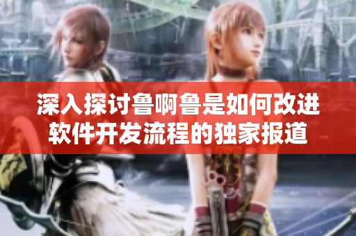 深入探讨鲁啊鲁是如何改进软件开发流程的独家报道