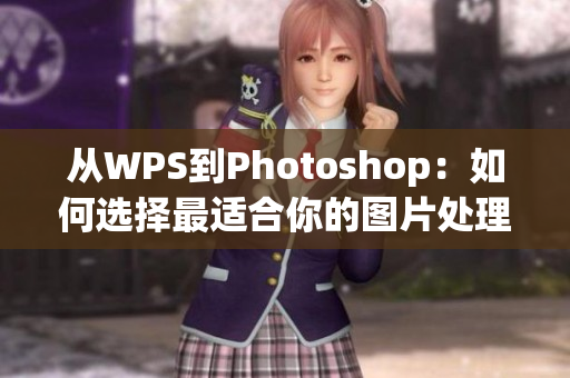 从WPS到Photoshop：如何选择最适合你的图片处理软件？