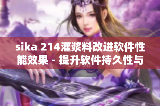 sika 214灌浆料改进软件性能效果 - 提升软件持久性与稳定性
