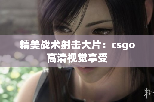 精美战术射击大片：csgo高清视觉享受