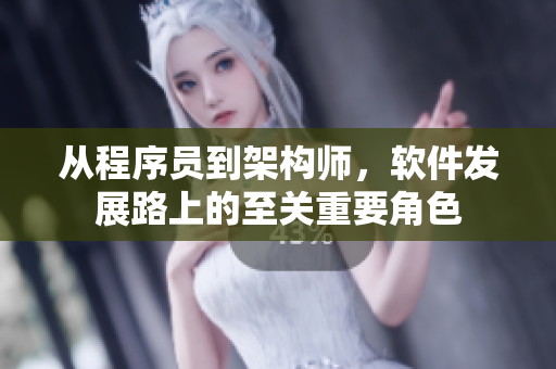 从程序员到架构师，软件发展路上的至关重要角色