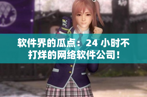 软件界的瓜点：24 小时不打烊的网络软件公司！
