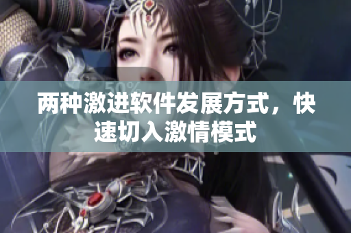 两种激进软件发展方式，快速切入激情模式