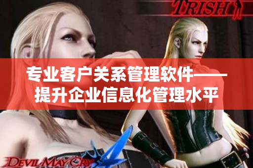 专业客户关系管理软件——提升企业信息化管理水平