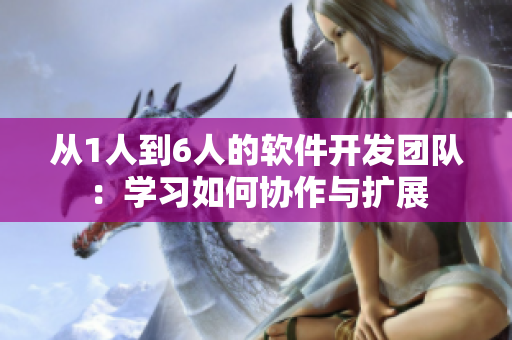 从1人到6人的软件开发团队：学习如何协作与扩展