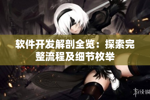 软件开发解剖全览：探索完整流程及细节枚举