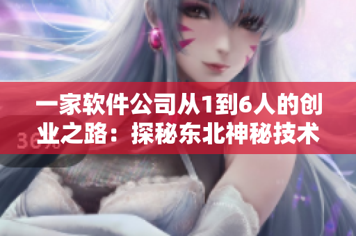一家软件公司从1到6人的创业之路：探秘东北神秘技术背后的故事