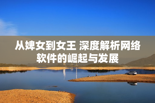 从婢女到女王 深度解析网络软件的崛起与发展