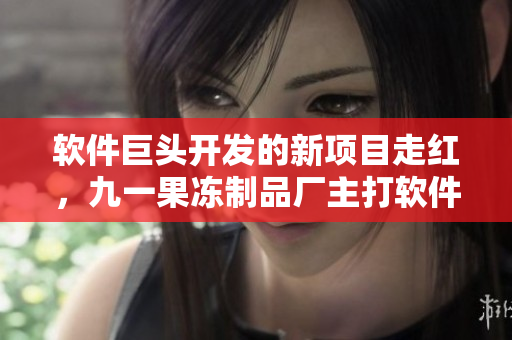 软件巨头开发的新项目走红，九一果冻制品厂主打软件行业电视剧《红桃》