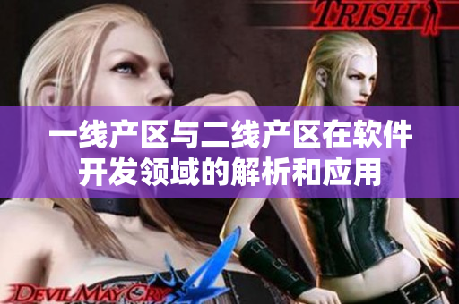 一线产区与二线产区在软件开发领域的解析和应用