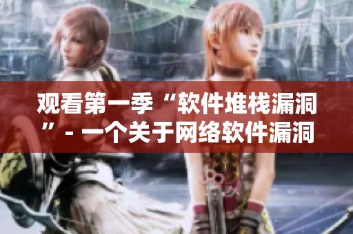 观看第一季“软件堆栈漏洞”- 一个关于网络软件漏洞的在线指南