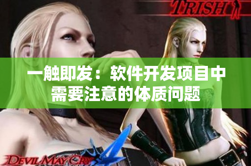 一触即发：软件开发项目中需要注意的体质问题
