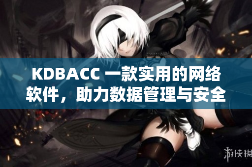KDBACC 一款实用的网络软件，助力数据管理与安全保障