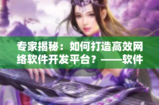 专家揭秘：如何打造高效网络软件开发平台？——软件开发者必读！