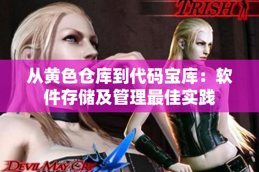 从黄色仓库到代码宝库：软件存储及管理最佳实践