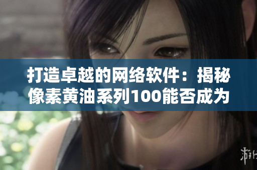 打造卓越的网络软件：揭秘像素黄油系列100能否成为开发利器？
