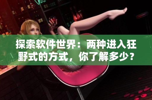 探索软件世界：两种进入狂野式的方式，你了解多少？