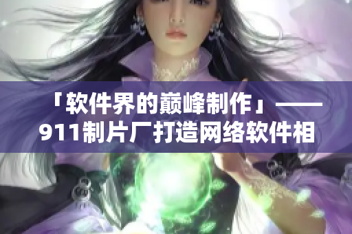「软件界的巅峰制作」——911制片厂打造网络软件相关电视剧