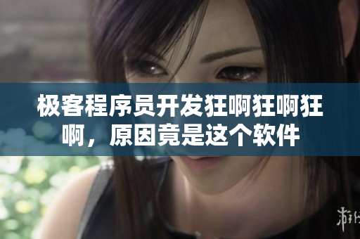 极客程序员开发狂啊狂啊狂啊，原因竟是这个软件