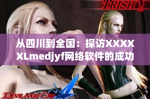 从四川到全国：探访XXXXXLmedjyf网络软件的成功之路