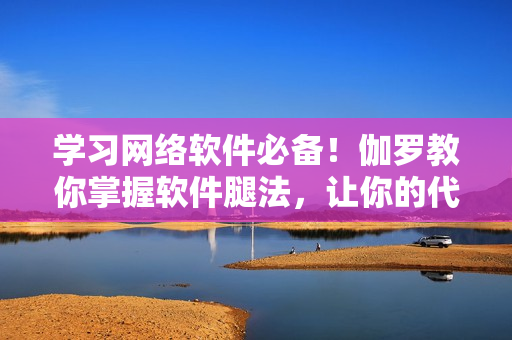 学习网络软件必备！伽罗教你掌握软件腿法，让你的代码跑得更快更稳！