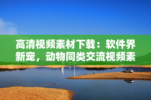 高清视频素材下载：软件界新宠，动物同类交流视频素材免费获取