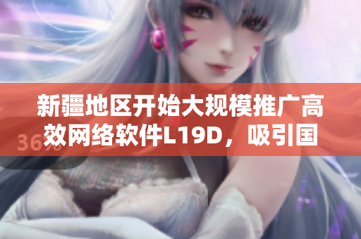 新疆地区开始大规模推广高效网络软件L19D，吸引国内外业界关注