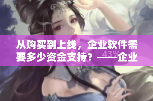 从购买到上线，企业软件需要多少资金支持？——企业软件价格分析