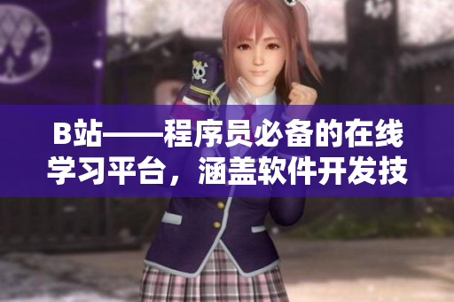 B站——程序员必备的在线学习平台，涵盖软件开发技术全方位资讯