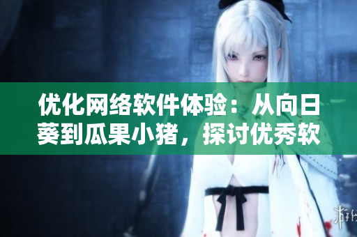 优化网络软件体验：从向日葵到瓜果小猪，探讨优秀软件设计与开发