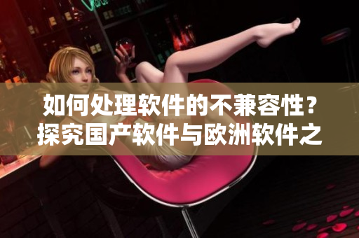 如何处理软件的不兼容性？探究国产软件与欧洲软件之间的差异与解决方法
