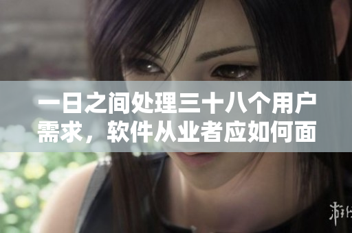 一日之间处理三十八个用户需求，软件从业者应如何面对？
