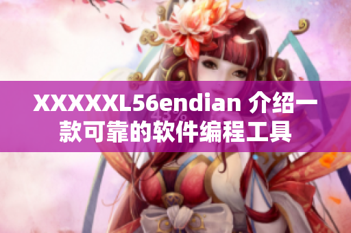 XXXXXL56endian 介绍一款可靠的软件编程工具