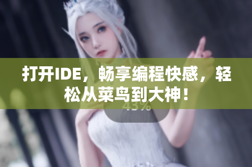 打开IDE，畅享编程快感，轻松从菜鸟到大神！