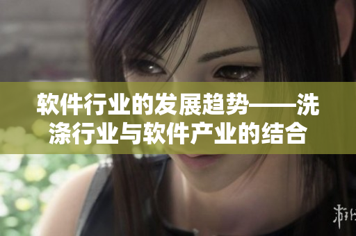 软件行业的发展趋势——洗涤行业与软件产业的结合