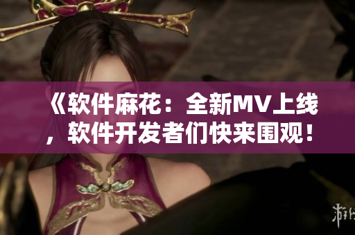 《软件麻花：全新MV上线，软件开发者们快来围观！》