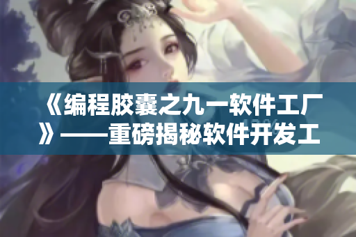 《编程胶囊之九一软件工厂》——重磅揭秘软件开发工厂日常！