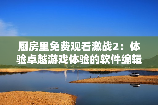 厨房里免费观看激战2：体验卓越游戏体验的软件编辑建议