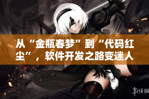 从“金瓶春梦”到“代码红尘”，软件开发之路变迷人。